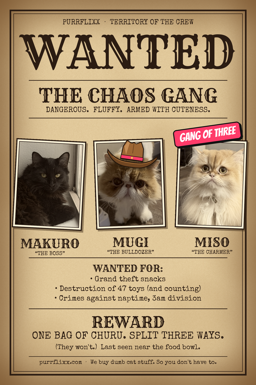 Wanted poster: The Chaos Gang, Makuro, Mugi and Miso