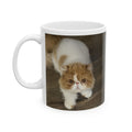 Example of a custom pet mug: your pet's photo here (shown: Mugi, an orange-and-white flat-faced cat)