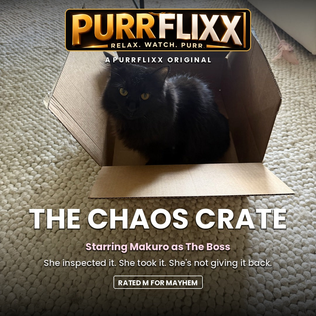 Purrflixx movie poster: The Chaos Crate, starring Makuro the black cat sitting in a box. Rated M for Mayhem.