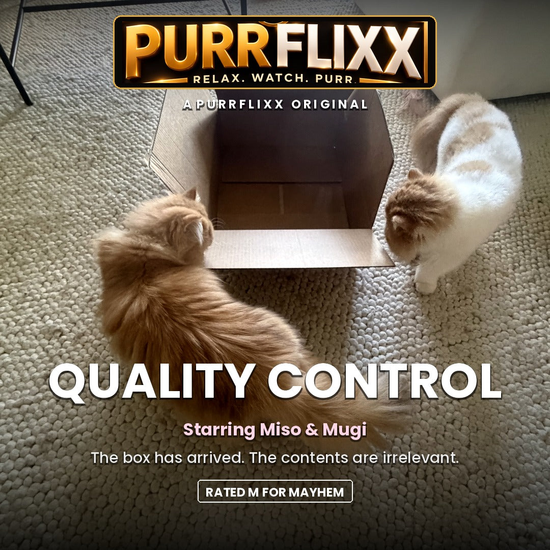 Purrflixx movie poster: Quality Control, starring Miso and Mugi inspecting an empty cardboard box.