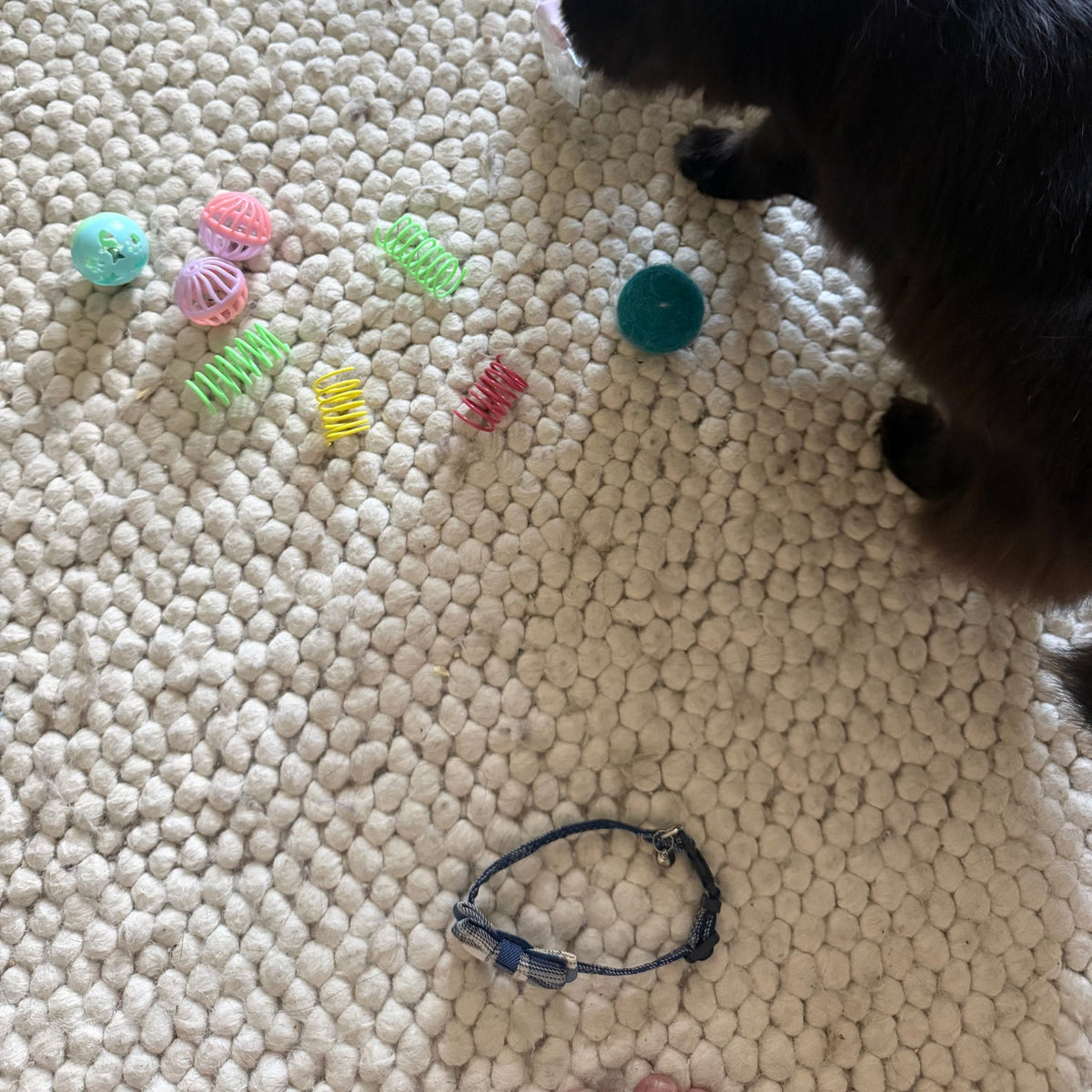 Makuro, Head of Strategy, inspecting the springs at Purrflixx HQ