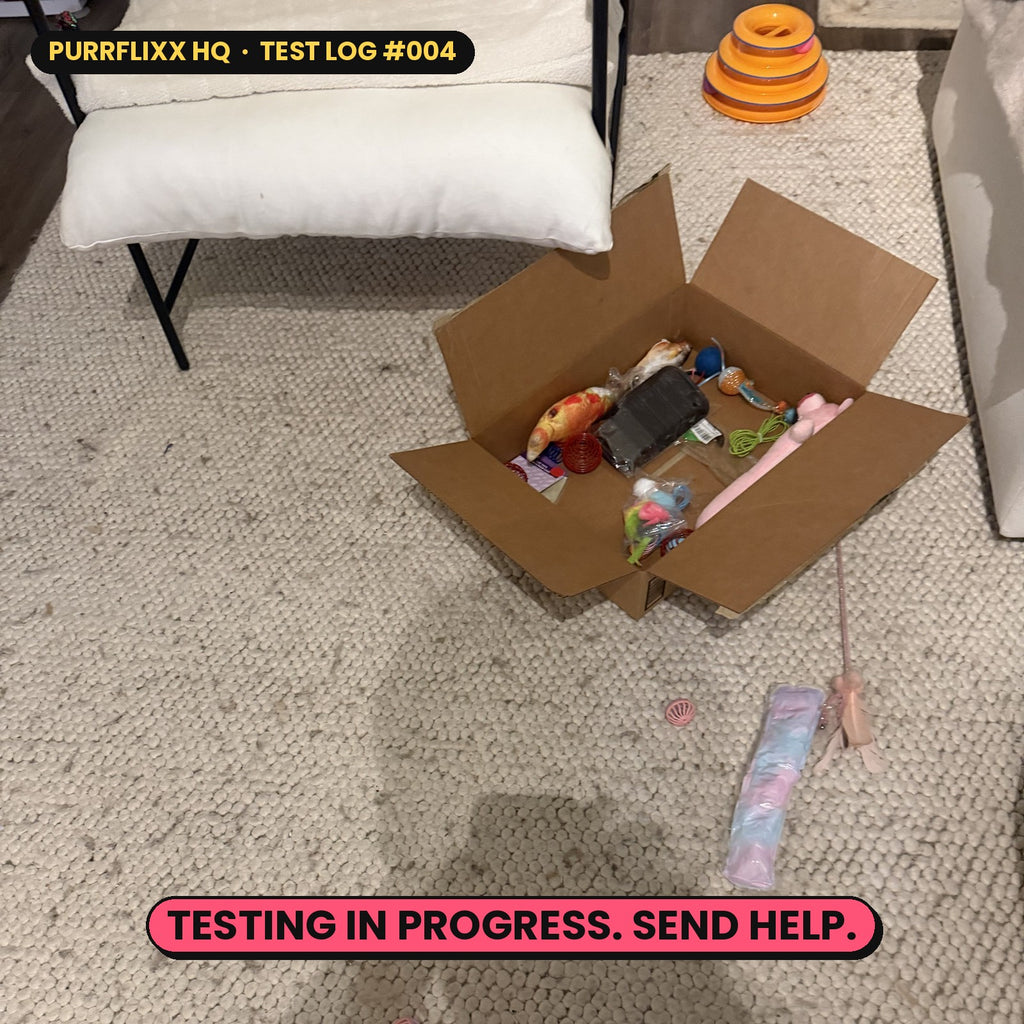 Purrflixx HQ test log: a box of cat toys on the rug, captioned Testing in progress. Send help.