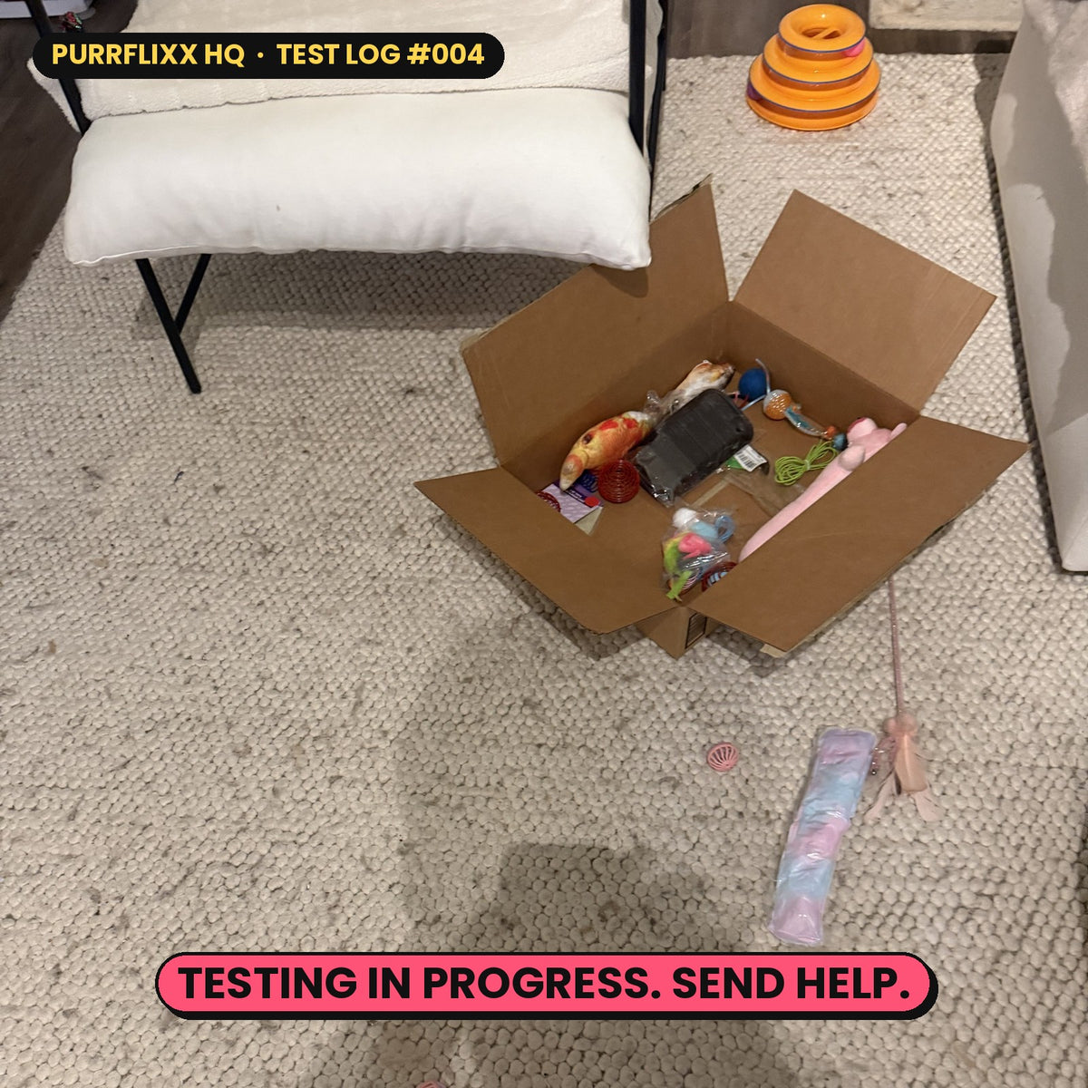 Purrflixx HQ test log: a box of cat toys on the rug, captioned Testing in progress. Send help.