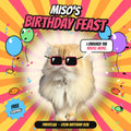 Miso the fluffy orange cat in pink party shades on a birthday poster with balloons and confetti: Miso's Birthday Feast