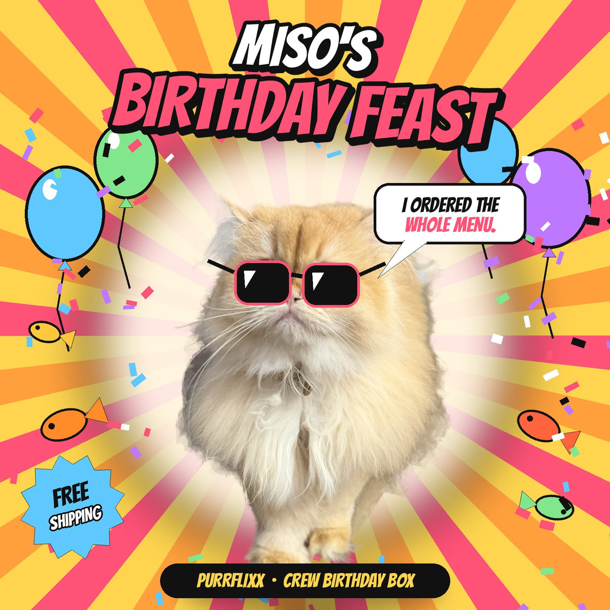 Miso the fluffy orange cat in pink party shades on a birthday poster with balloons and confetti: Miso's Birthday Feast