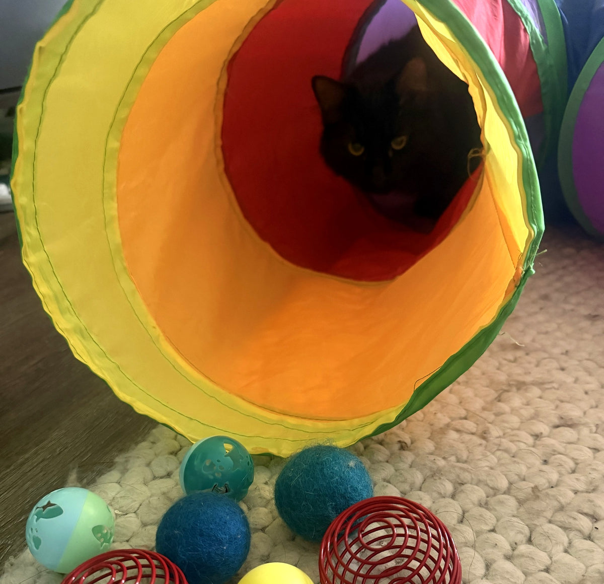 Makuro, our black cat, peeking out from deep inside a rainbow crinkle tunnel with balls and spring toys in front