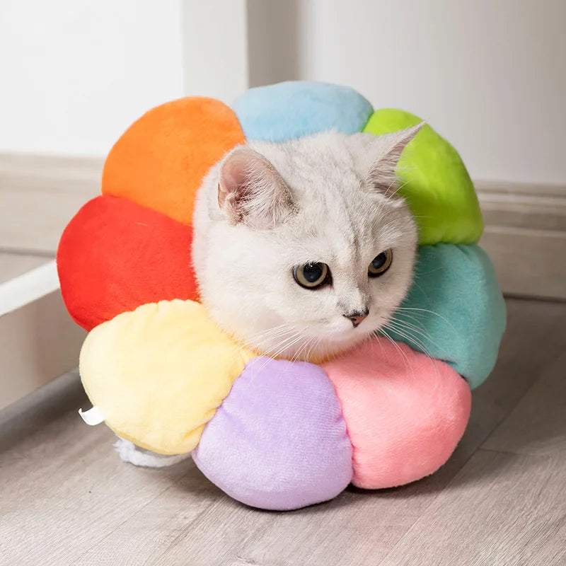 Makuro's Flower Power Recovery Cone: white cat wearing the soft rainbow petal cone