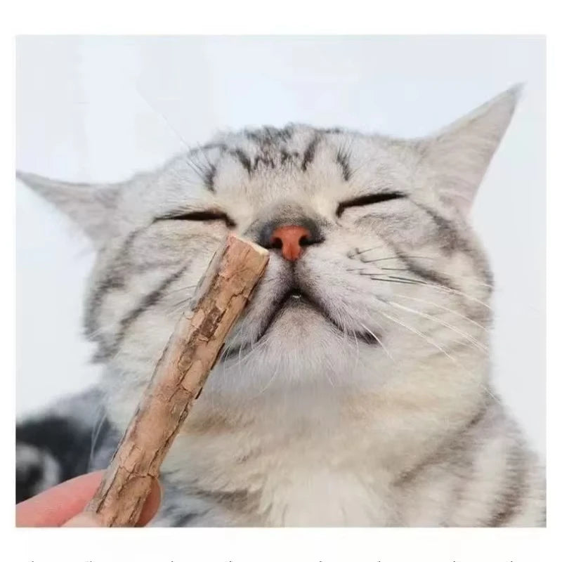 Cat with eyes closed licking a natural silvervine chew stick