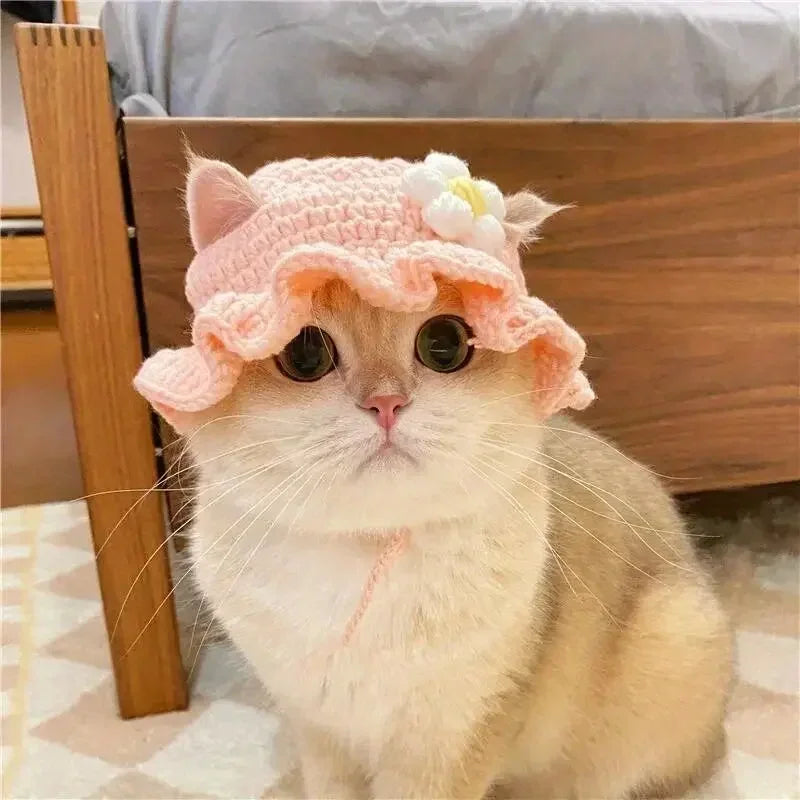 Cat wearing the pink daisy crochet bonnet