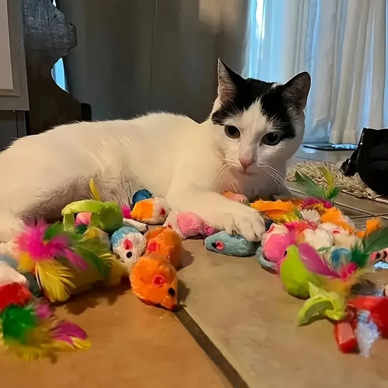 Black and white cat lying among toys from Mugi's Chaos Starter Kit