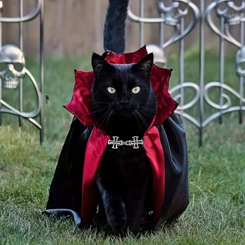 Black cat wearing Makuro's Vampire Cape with red collar and cross clasp