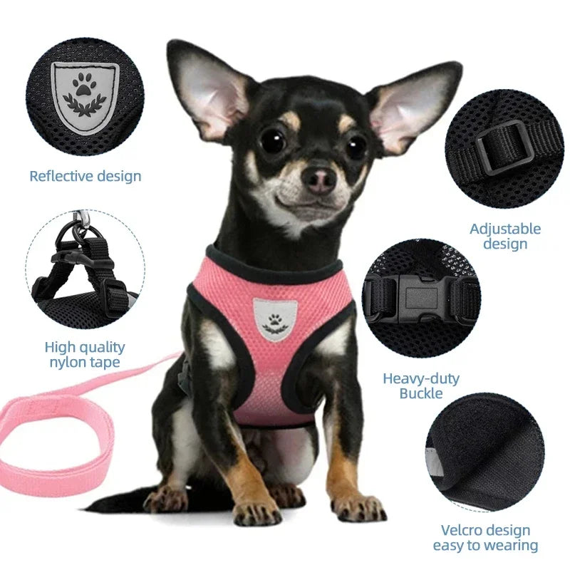 Mugi's Escape Plan: Cat Harness & Leash Set