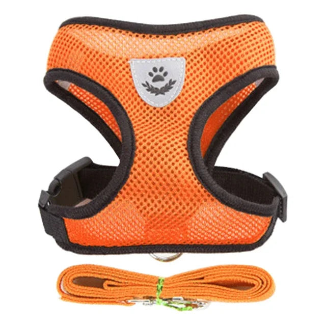 Mugi's Escape Plan: Cat Harness & Leash Set