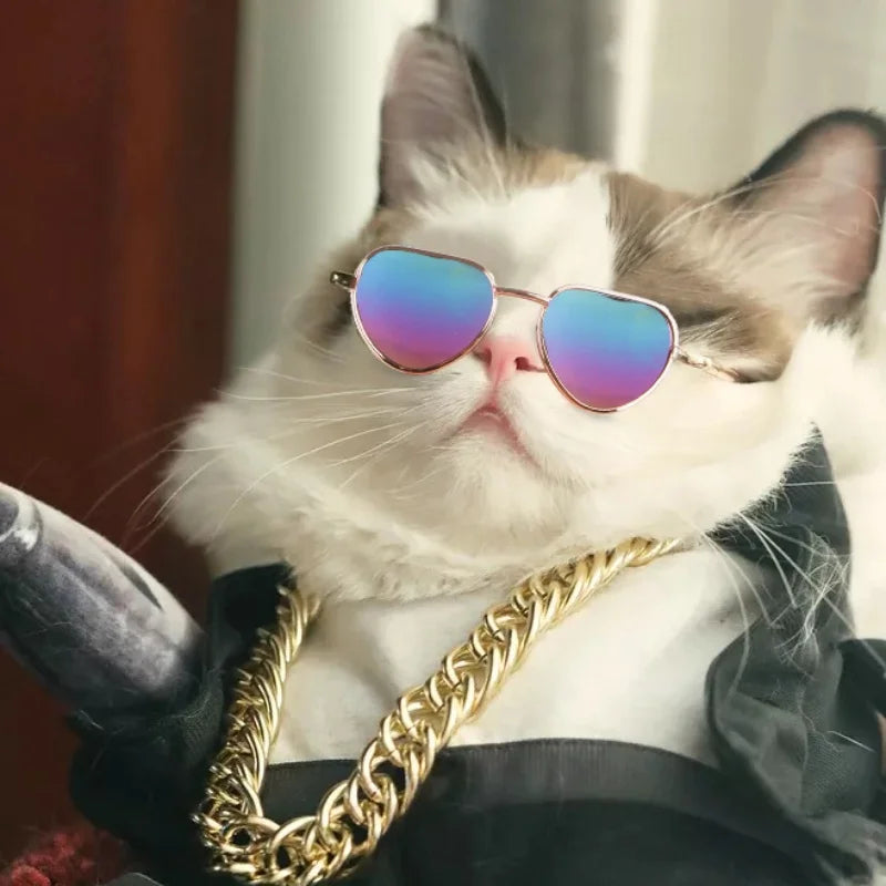 White cat wearing mirrored heart cat sunglasses