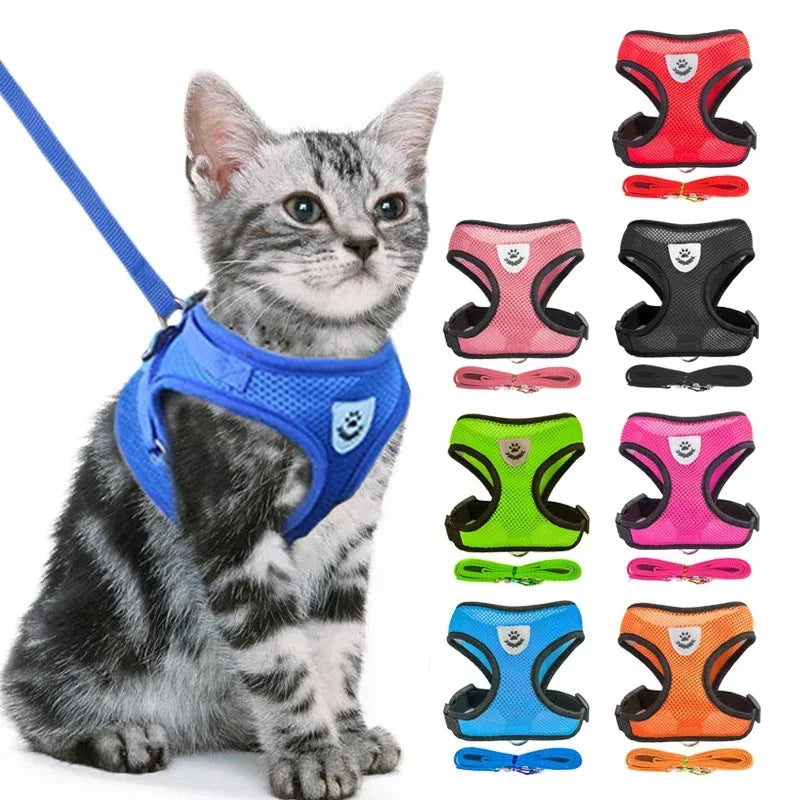 Mugi's Escape Plan: Cat Harness & Leash Set
