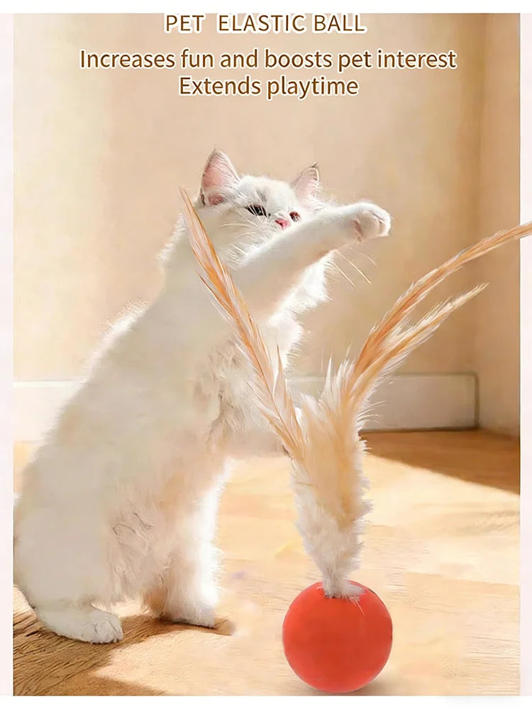 White cat jumping at an orange feather ball
