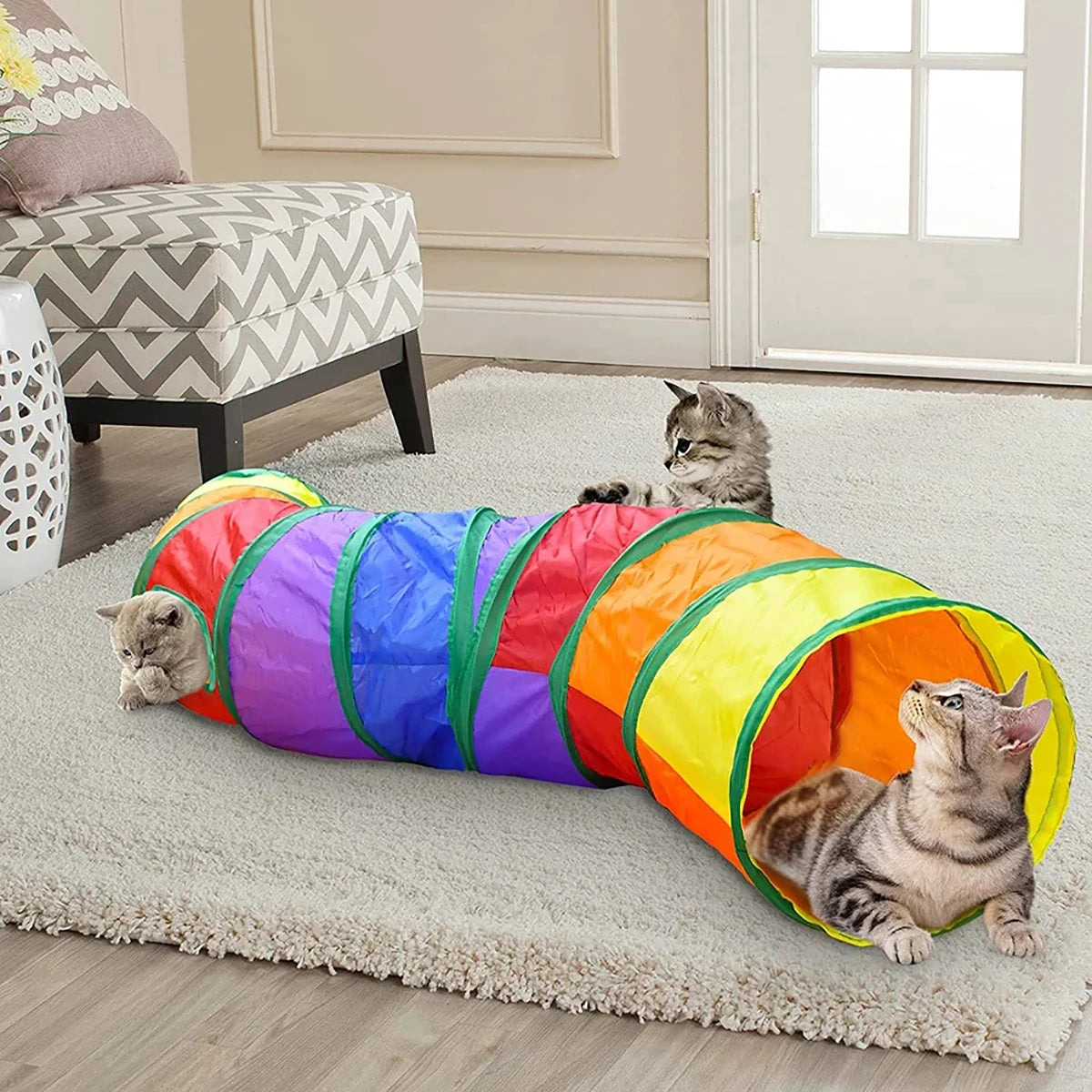 Two cats playing in Mugi's rainbow pop-up crinkle tunnel
