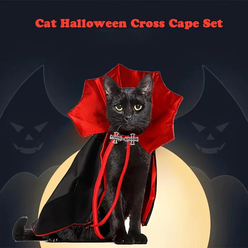 Black cat in the vampire cape with red stand-up collar