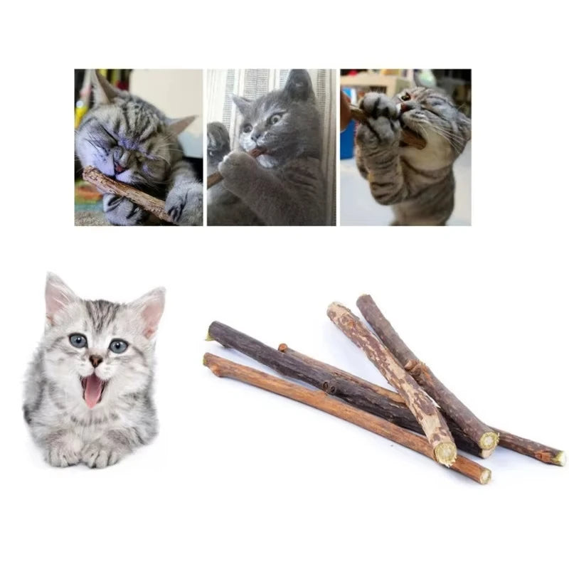 Cats playing with silvervine sticks next to loose matatabi chew sticks