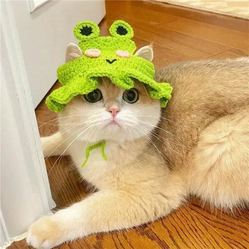 Cream cat wearing the green frog crochet bonnet