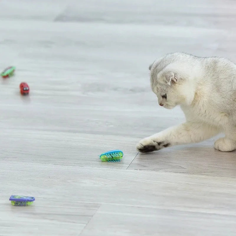 Cat chasing robo-bugs on a wooden floor