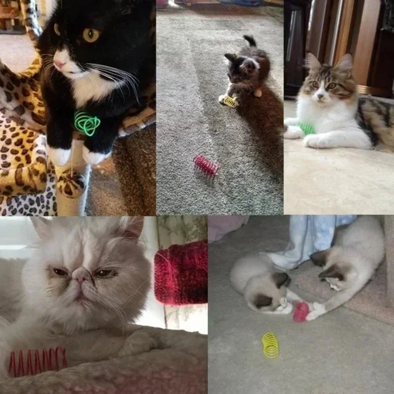 Makuro's Spring Fling: Colourful Cat Springs (20 or 40)