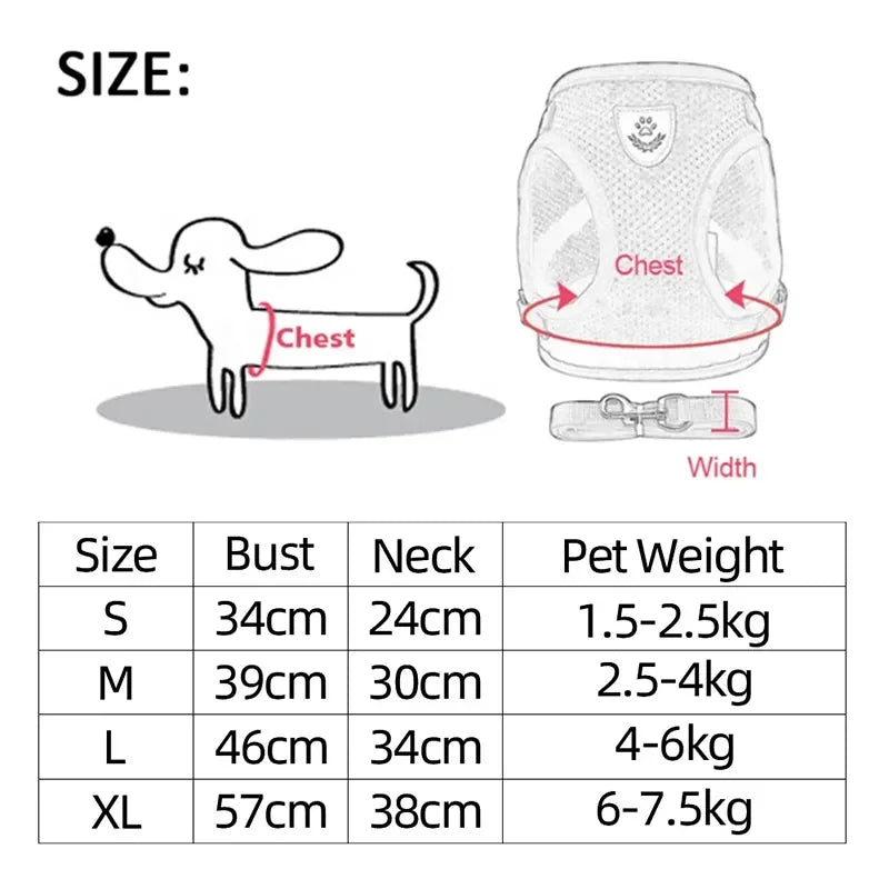 Mugi's Escape Plan: Cat Harness & Leash Set