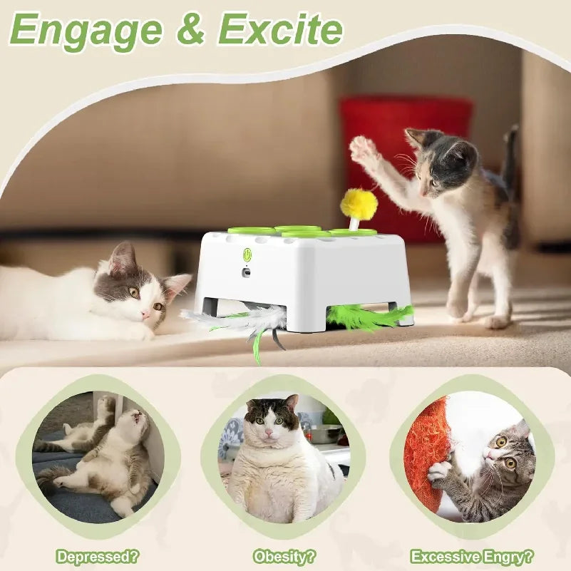 Makuro's Mole Patrol: Pop-Up Mouse & Spinning Feather Cat Toy