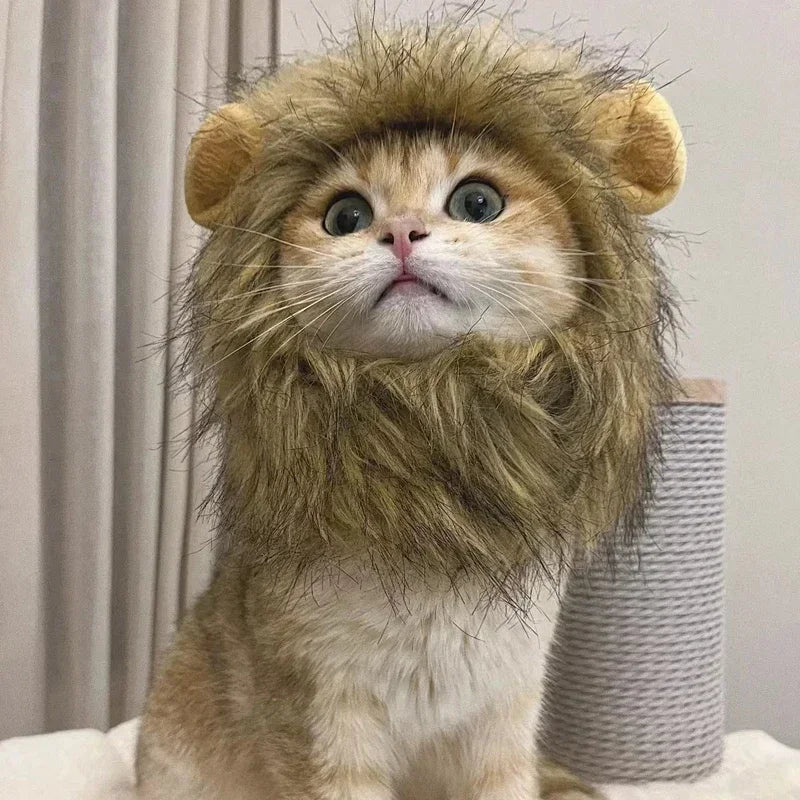 Cat wearing the fluffy brown lion mane