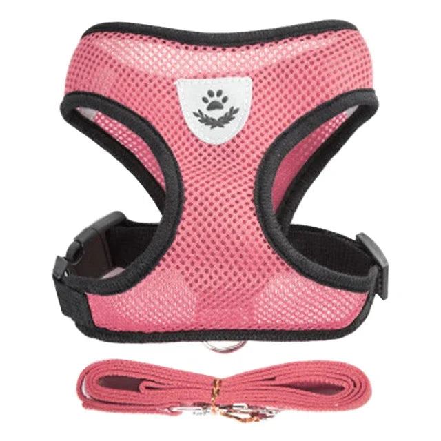 Mugi's Escape Plan: Cat Harness & Leash Set