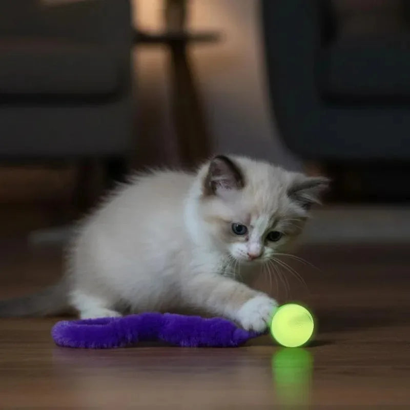 White kitten batting a glow ball with a purple fuzzy tail
