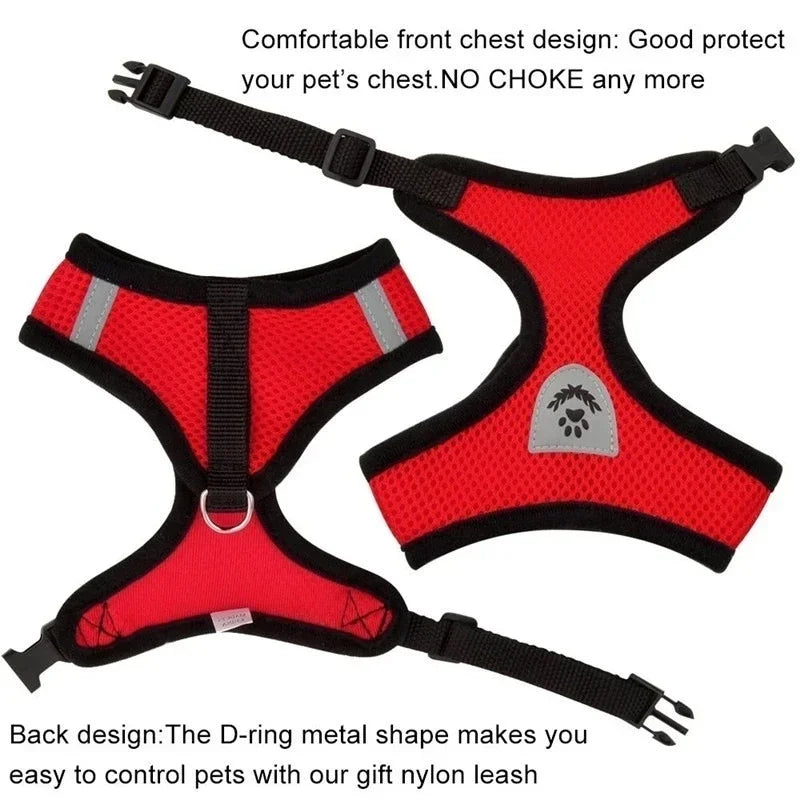 Mugi's Escape Plan: Cat Harness & Leash Set