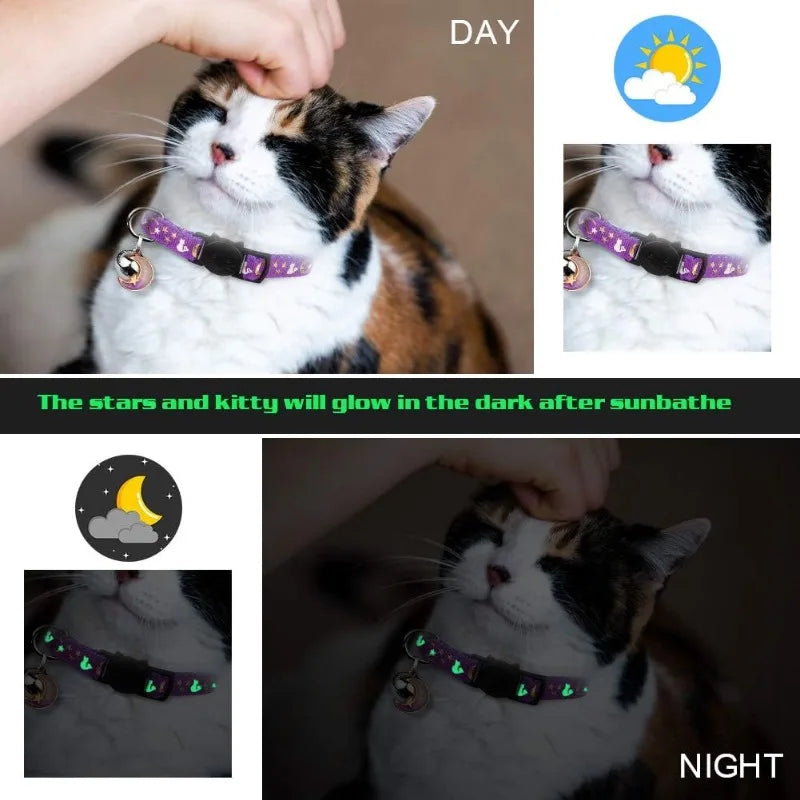 Cat wearing the moon-and-star collar by day, glowing at night
