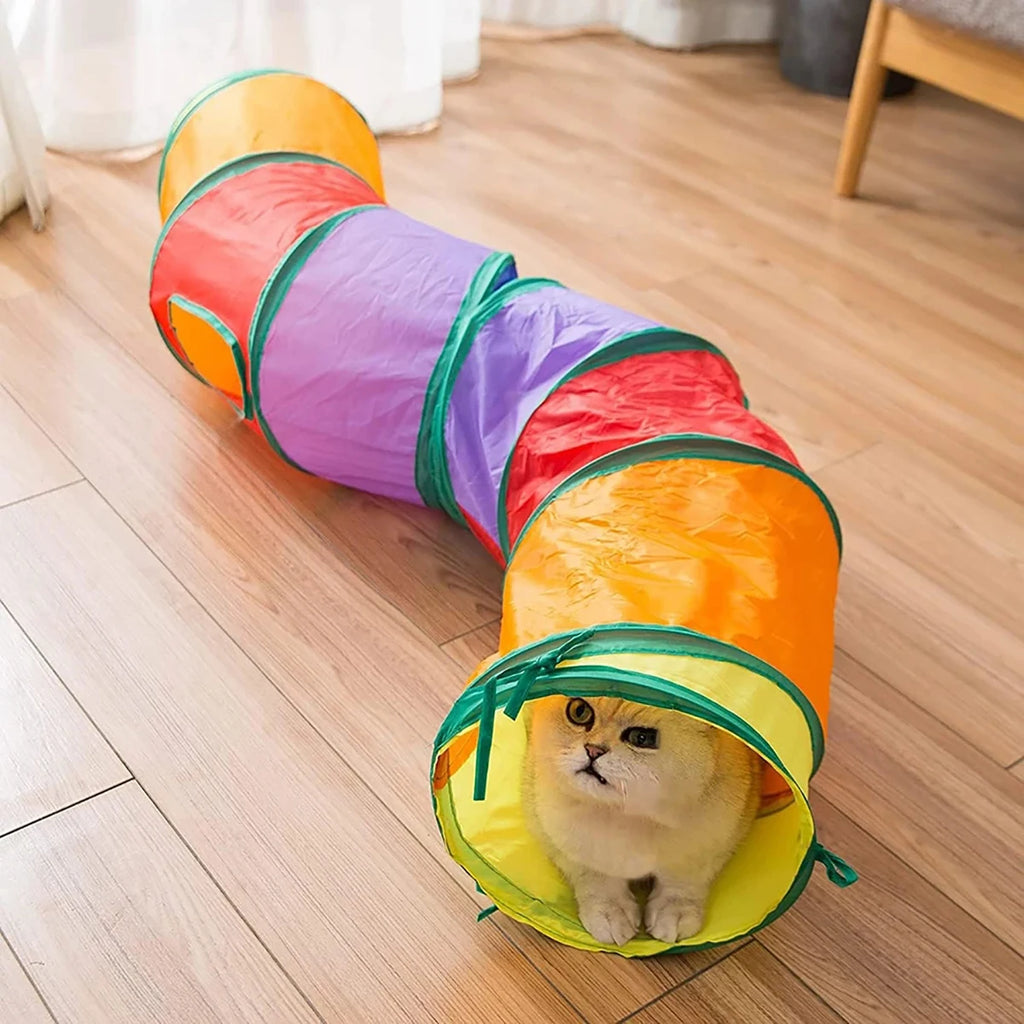 Cat peeking from the end of a rainbow S-curve tunnel