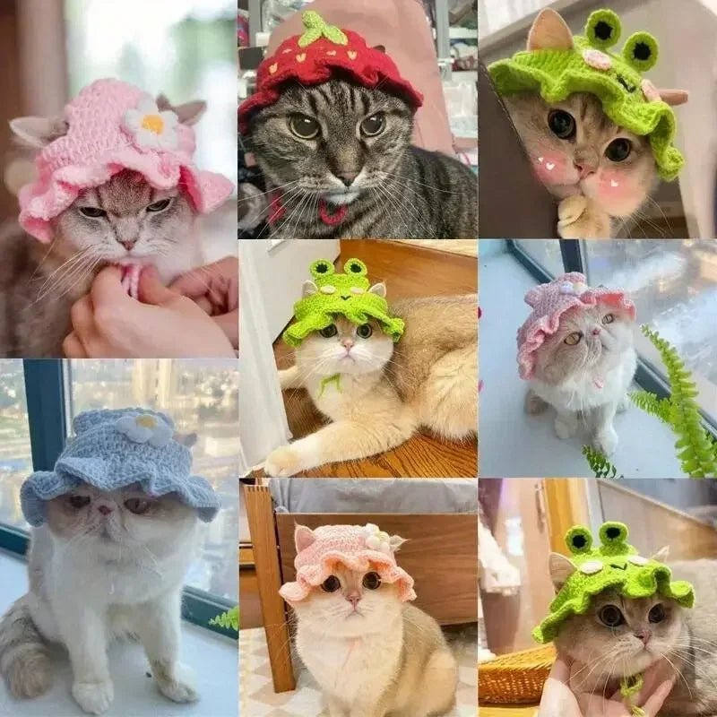 Cats wearing the four crochet bonnet styles