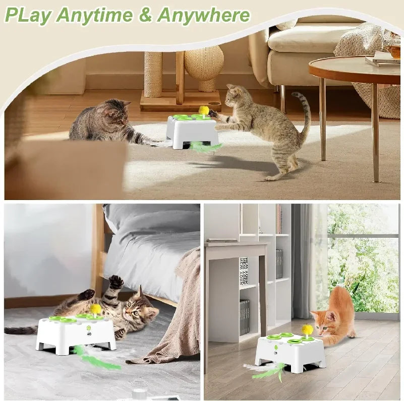 Makuro's Mole Patrol: Pop-Up Mouse & Spinning Feather Cat Toy