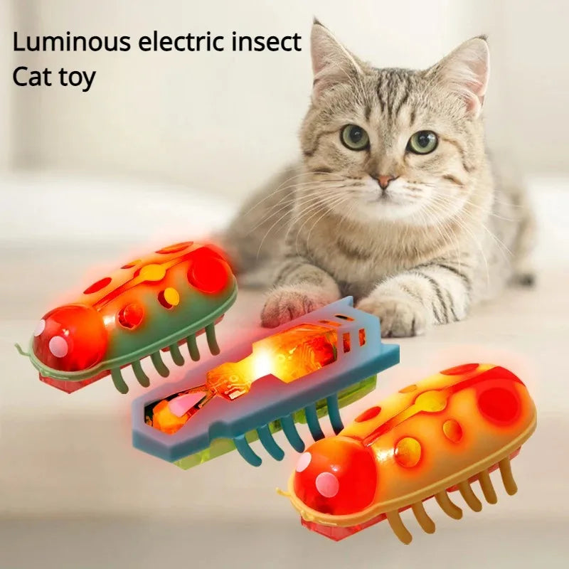 Cat watching three glowing robo-bugs