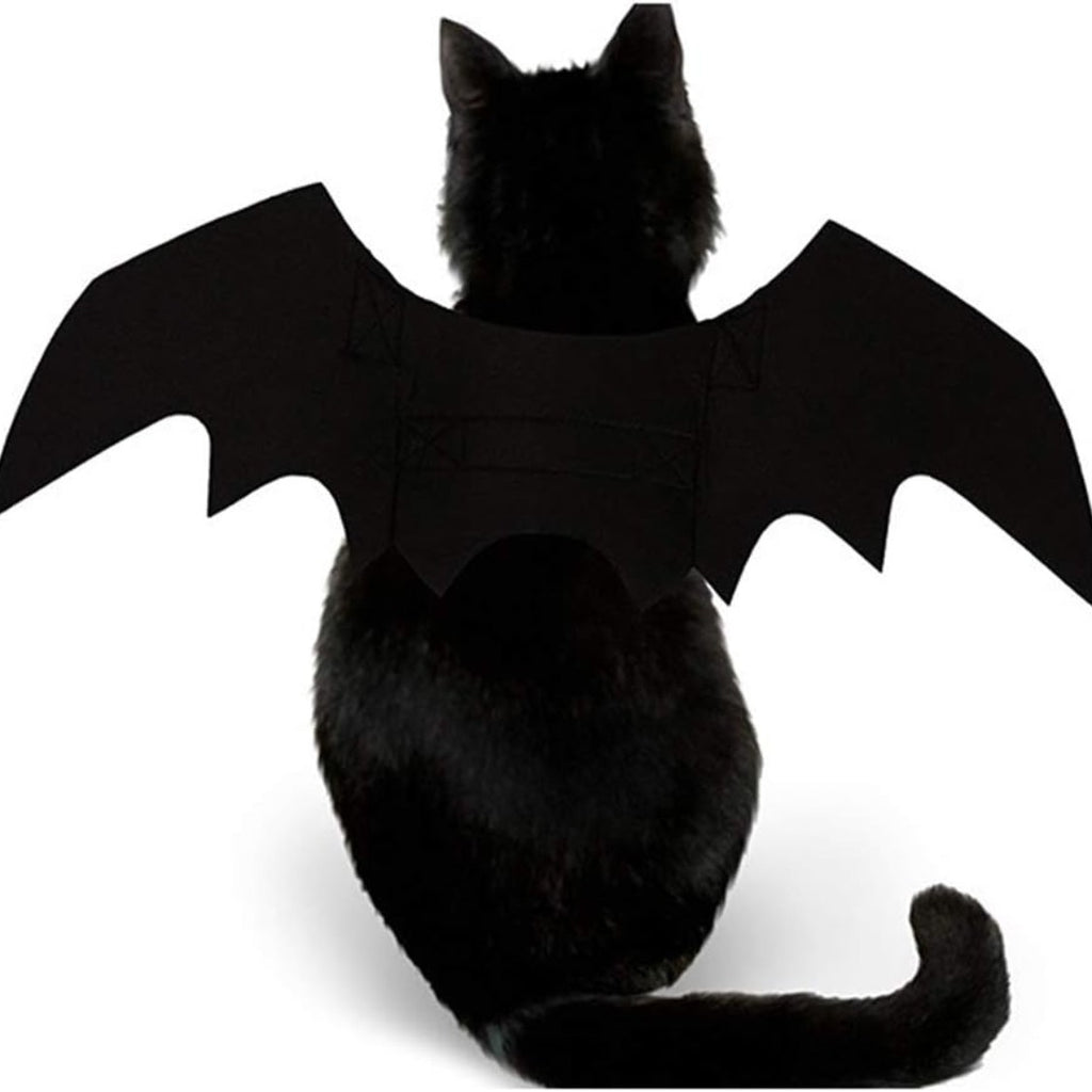 Back view of a black cat wearing the black felt bat wings