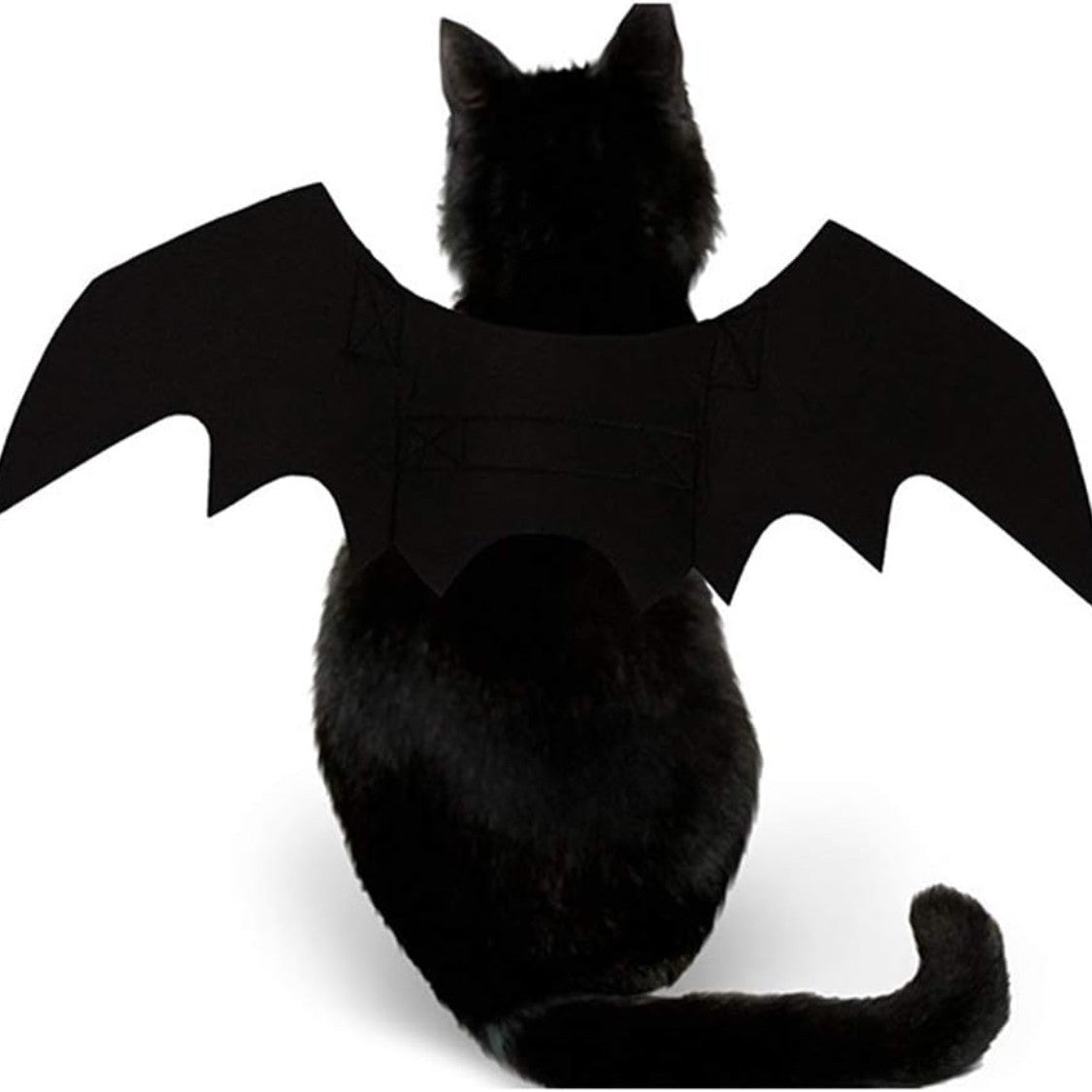 Back view of a black cat wearing the black felt bat wings