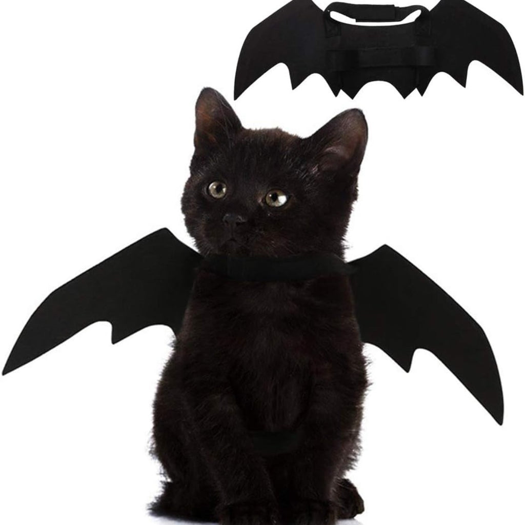 Black kitten wearing Mugi's Bat Wings, with the wings shown flat above