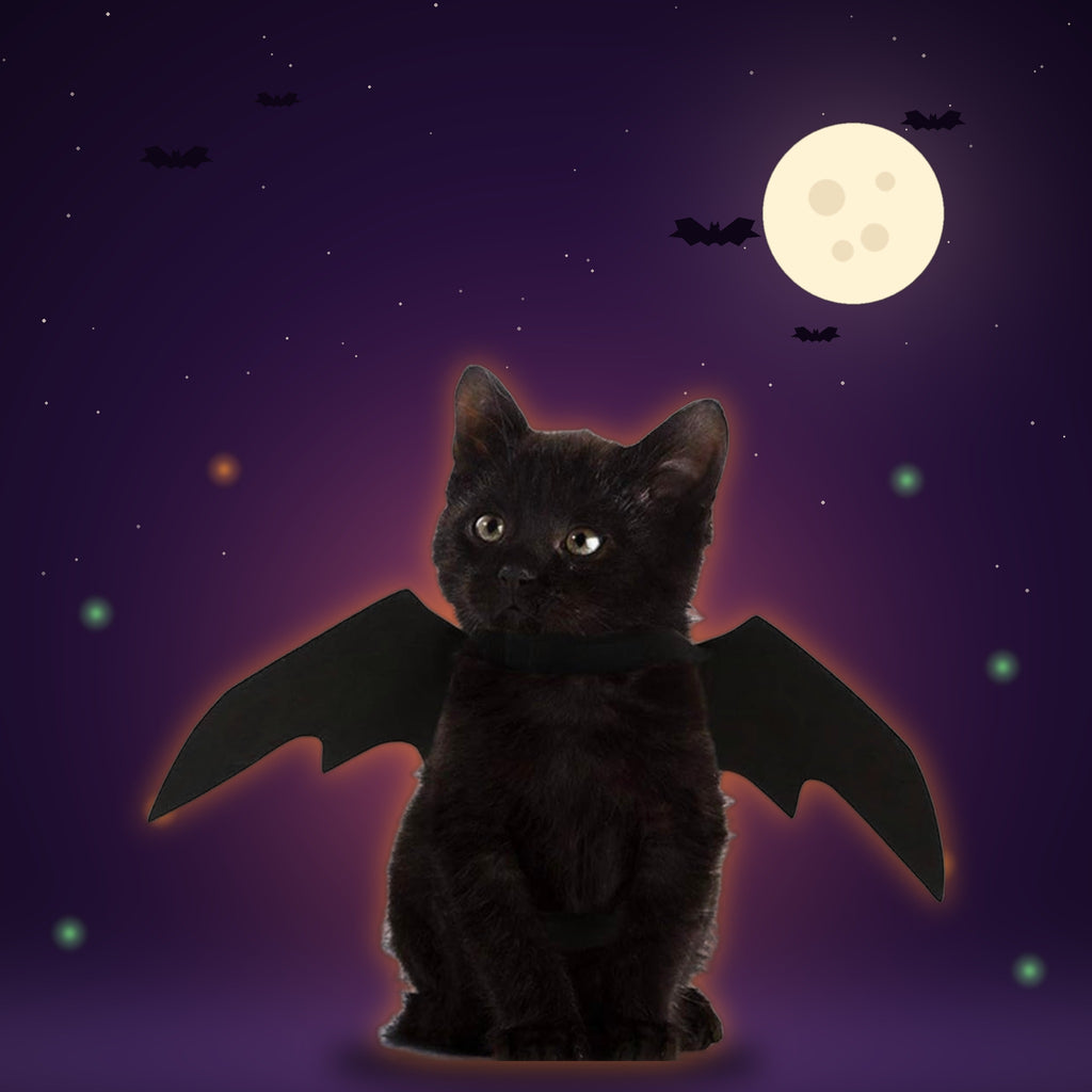 Black cat wearing Mugi's Bat Wings under a full moon with bats and a soft orange glow