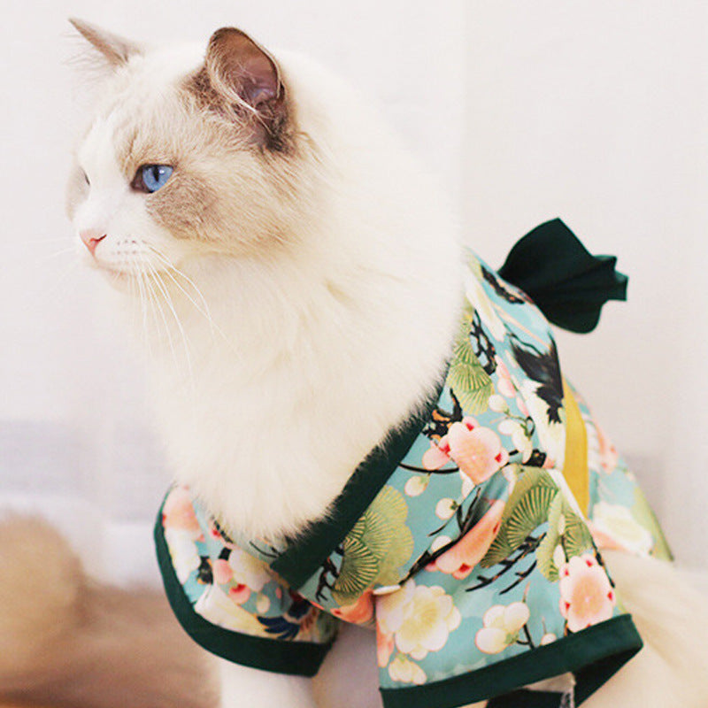 Fluffy white cat wearing the green floral cat kimono with a dark green bow