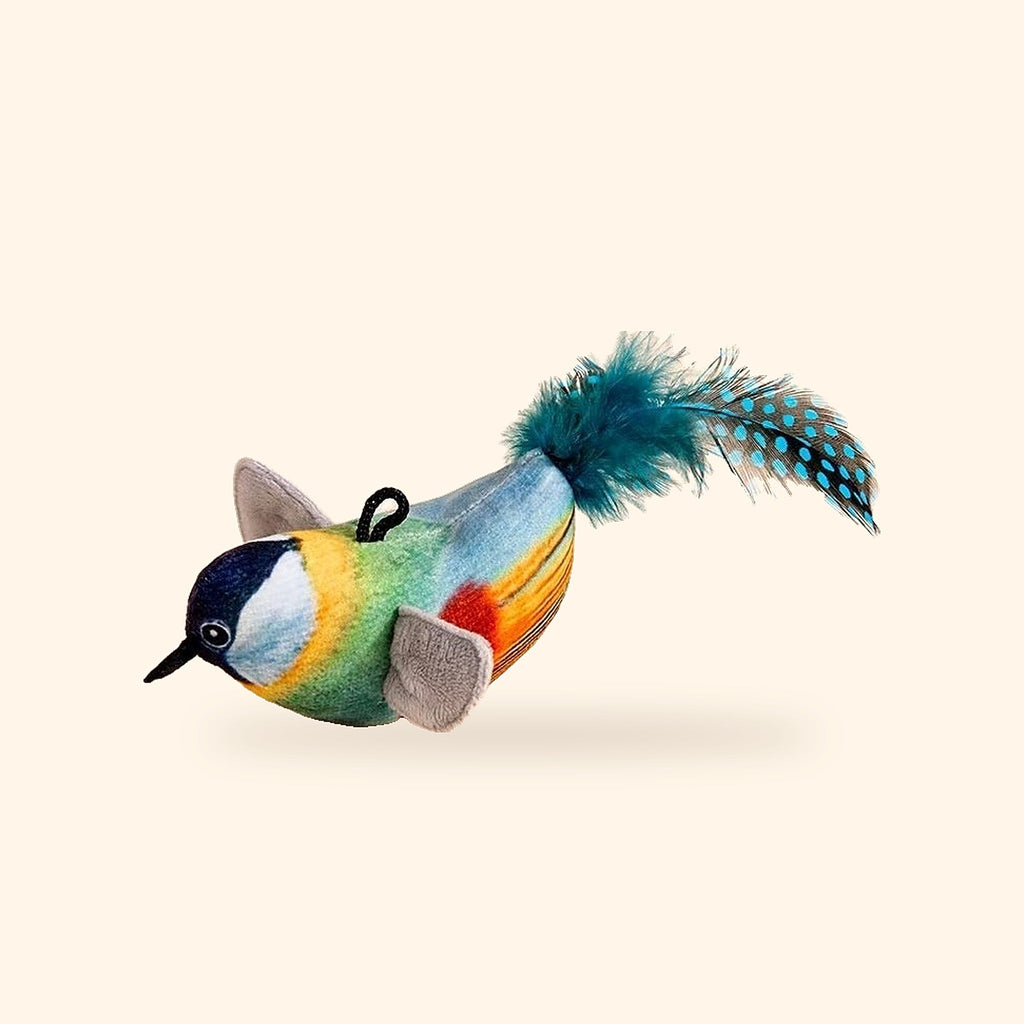 Chirping bird teaser, blue robin