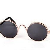 Round black cat sunglasses