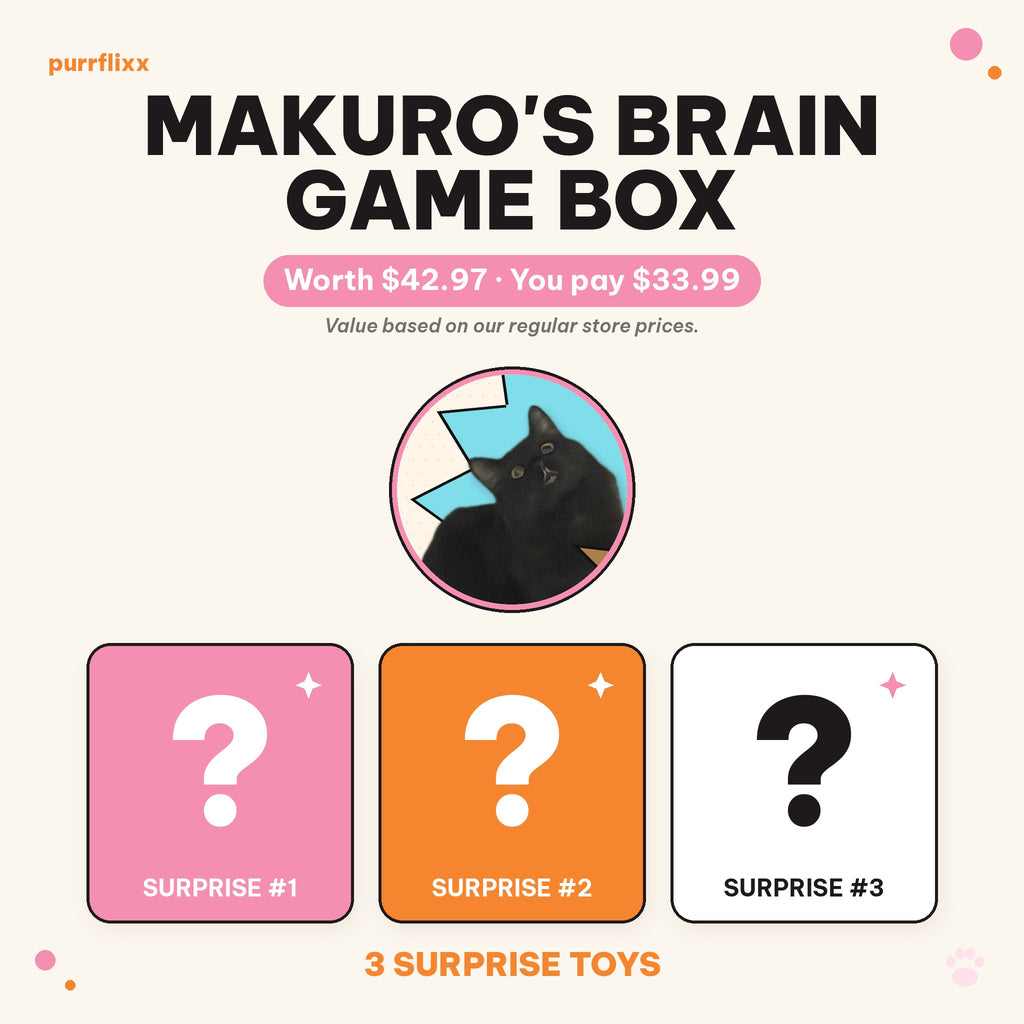 Makuro's Brain Game Box: Makuro the black cat with 3 surprise toy question-mark tiles. Worth $42.97, you pay $33.99