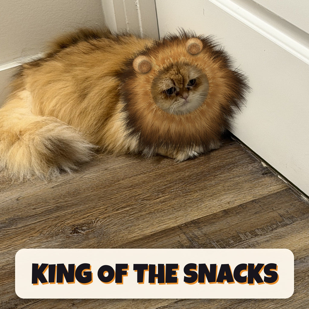 Miso the ginger-cream cat wearing a lion mane, headline KING OF THE SNACKS