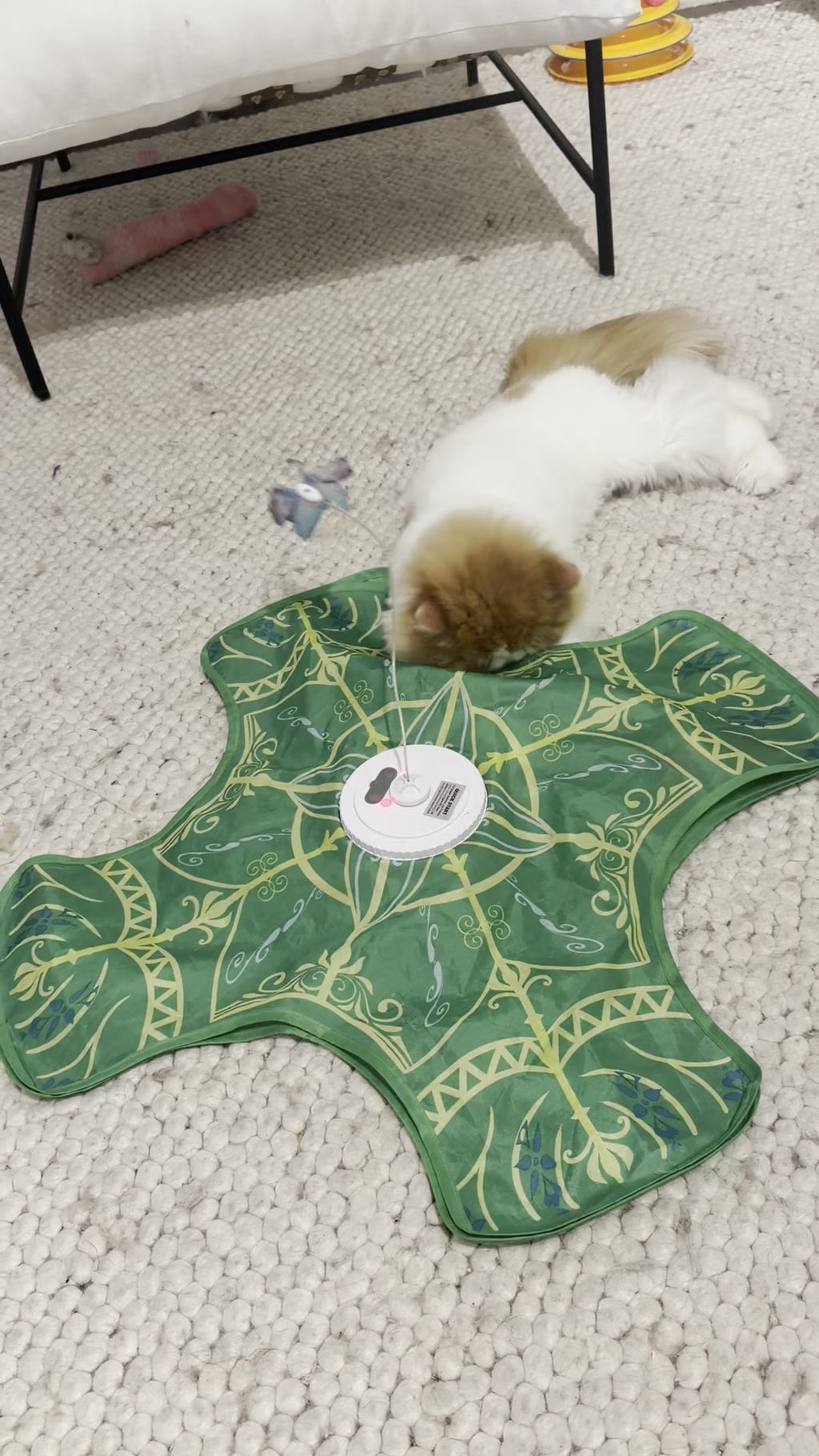 Mugi stretched out flat on the green hide-and-seek mat with the butterfly wand popping out beside his face