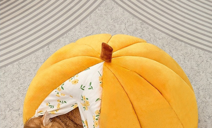 Top view of the pumpkin nap pod with a cat curled up inside