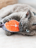 Cat hugging a plush catnip fish toy from the Sushi Bar set, Mugi-style bunny-kick ready