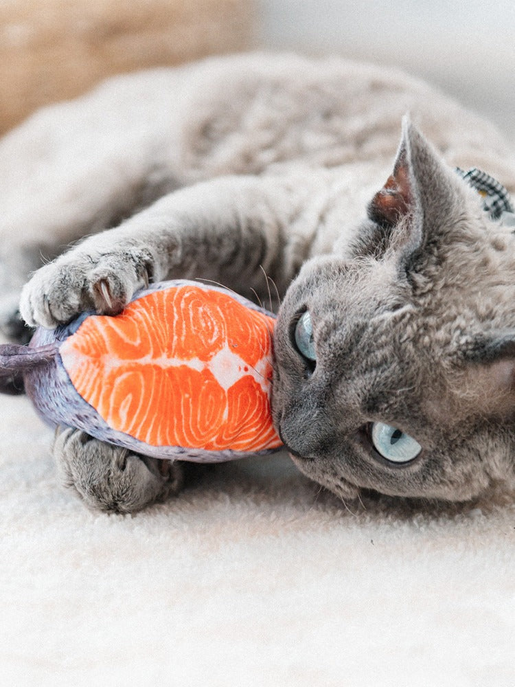 Cat hugging a plush catnip fish toy from the Sushi Bar set, Mugi-style bunny-kick ready
